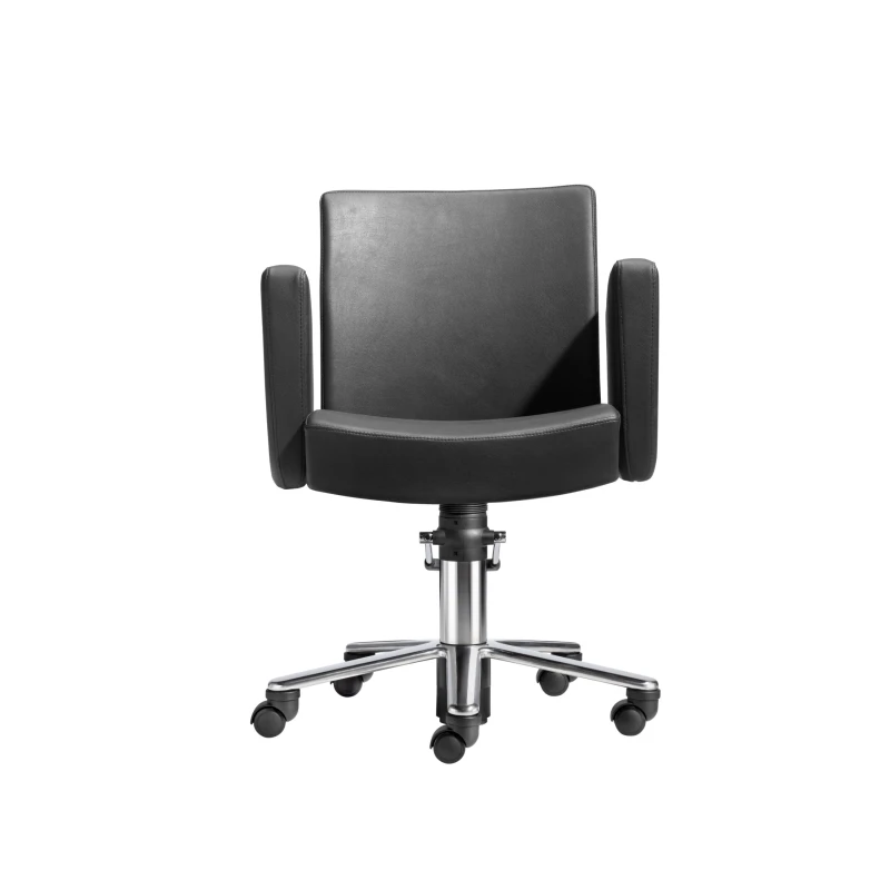 SUSI CHAIR 2-Rollen und Bewegliche Rücknlehne