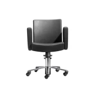 SUSI CHAIR 2-Rollen und Bewegliche Rücknlehne