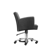 SUSI CHAIR 2-Rollen und Bewegliche Rücknlehne