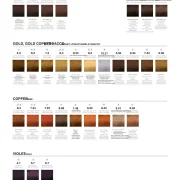 MOOD COLOR CREAM + MOODY TONERS FARBKARTE