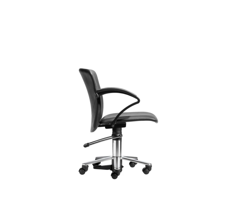 POLUX CHAIR -2, verstellbarer Rückenlehne, Rollen und Bremsen