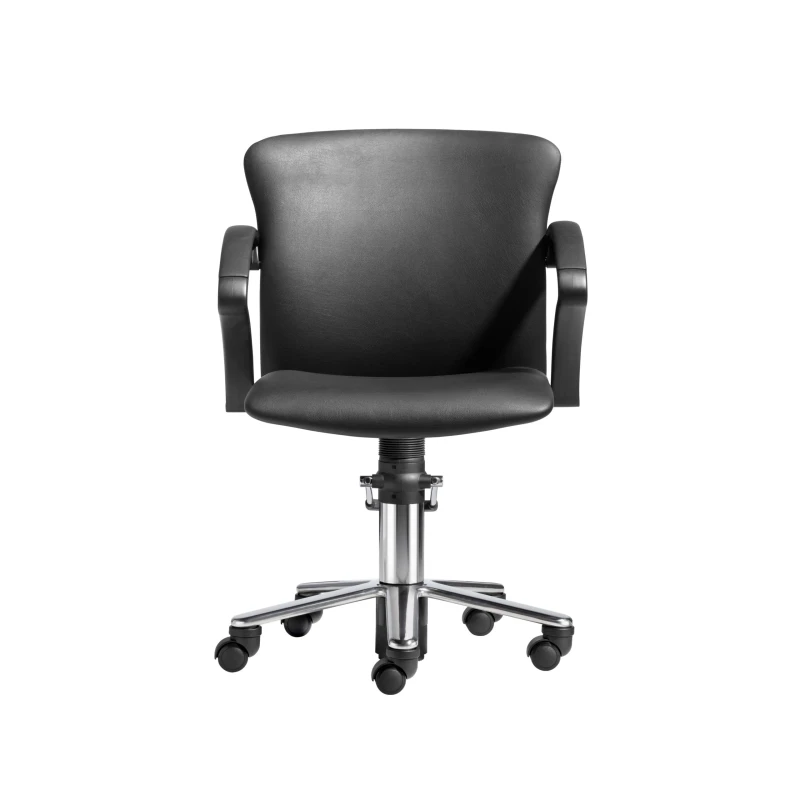 POLUX CHAIR -2, verstellbarer Rückenlehne, Rollen und Bremsen
