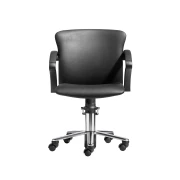 POLUX CHAIR -2, verstellbarer Rückenlehne, Rollen und Bremsen