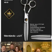 S-R-01+02, VG10 MASTERCLASS Effilier-Haarschere