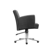 SUSI CHAIR -1