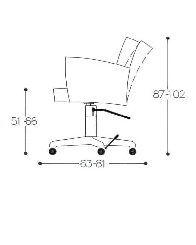 SUSI CHAIR 2-Rollen und Bewegliche Rücknlehne