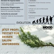 MOOD Quick Dye Einwirkbeschleuniger