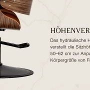 Coiffeur Friseurstuhl Florena Braun