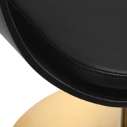 Coiffeurstuhl-Friseurstuhl  Budget 1 gold