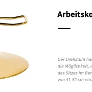 Coiffeurstuhl-Friseurstuhl MINIMALISTISCH1 gold