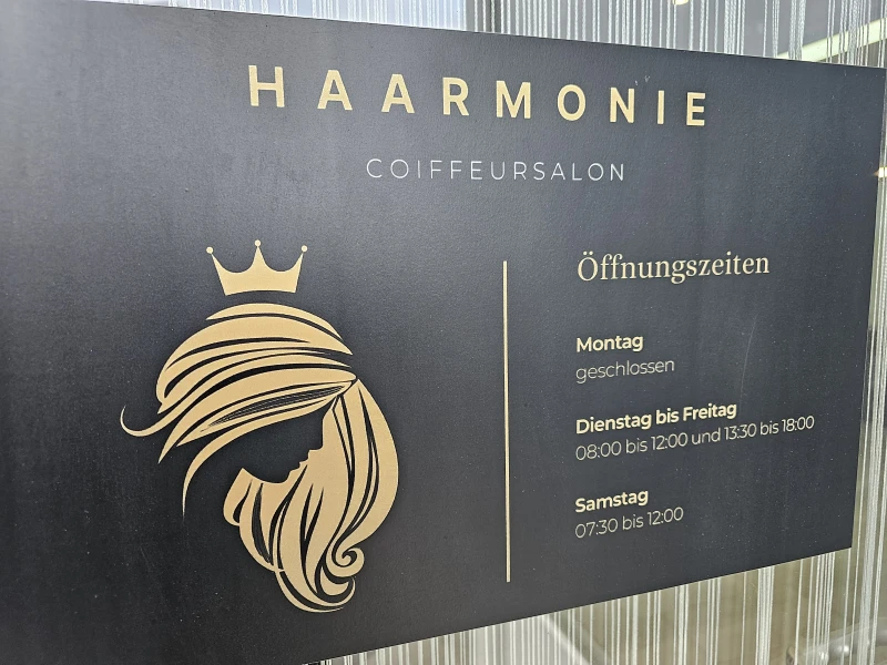 SALONS VIDEO