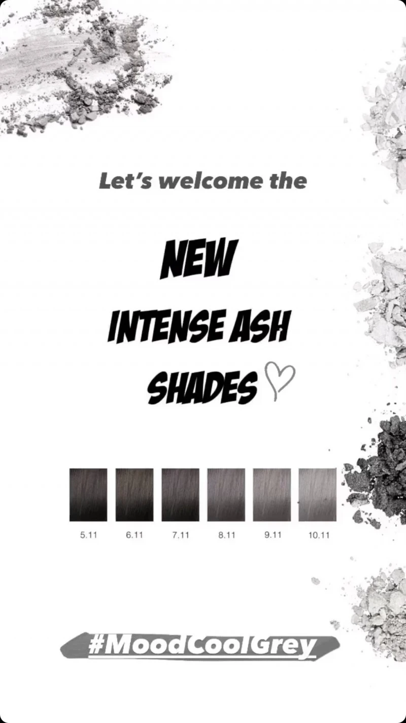 Online VIDEO, MOOD NEW INTENSE ASH SHADES ENG, www.coiffeurbedarf.ch